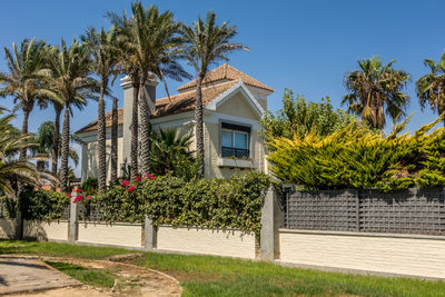 Palm trees by building against sky