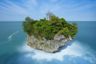 Tree by sea against blue sky