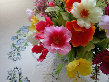 Close-up of red flowers