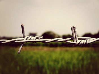 Close-up of barbed wire