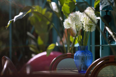 Close-up of flower pot on table