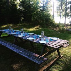 Empty bench in park