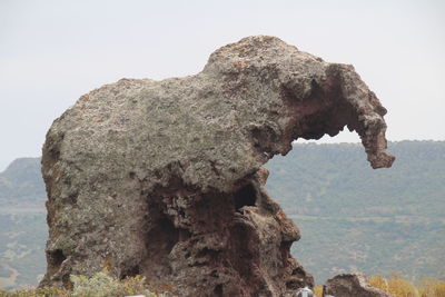Close-up of cliff against clear sky