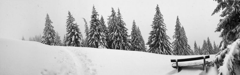 Panoramic view of snow covered field against sky