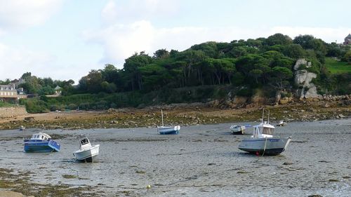 Boats in sea