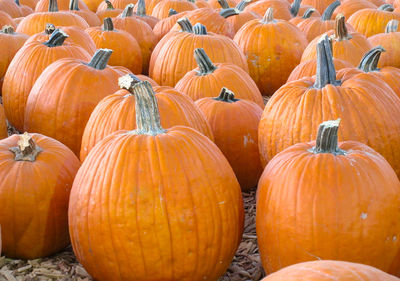 Close-up of pumpkins in market during autumn