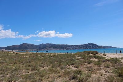 Scenic view of beach against blue sky