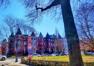 View of bare trees in city against sky