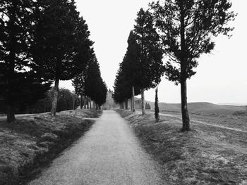 Trees on landscape against clear sky