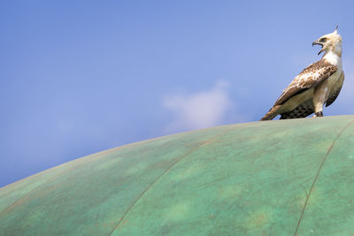 Low angle view of eagle perching on dome against sky