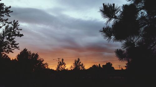 Silhouette of trees against cloudy sky