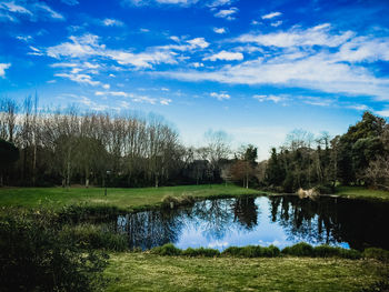 Scenic view of lake against blue sky