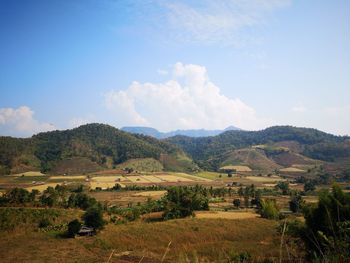 Scenic view of agricultural field against sky