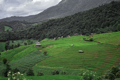 Scenic view of agricultural field against mountains