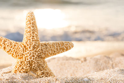 Close-up of sand on beach