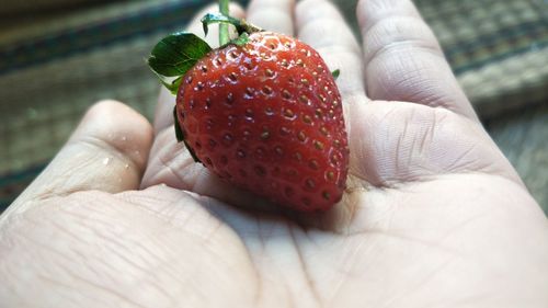 Close-up of hand holding strawberry