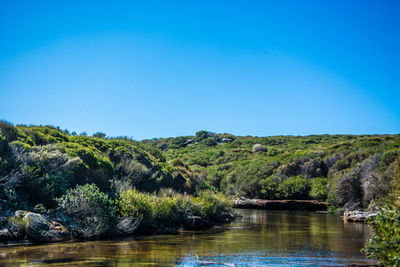 Scenic view of lake against clear blue sky