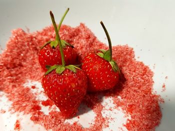 High angle view of strawberries on table against white background