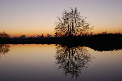 Silhouette trees by lake against sky during sunset