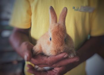 Close-up of man holding baby hand