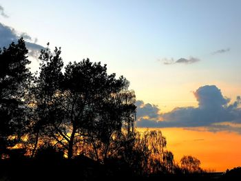 Low angle view of silhouette trees against sky during sunset