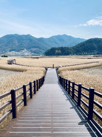 View of wooden walkway leading towards mountains