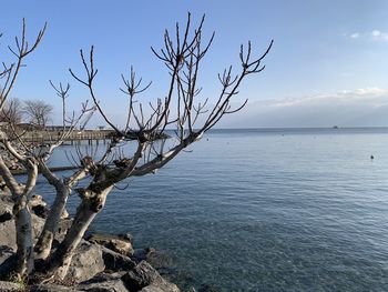 Scenic view of the lake of geneva