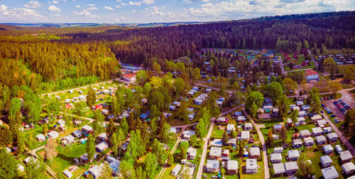 High angle view of trees and buildings in city