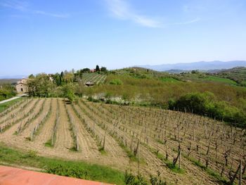 Beautiful landscape view valley of vineyard and farm countryside monterchi tuscany italy in summer 