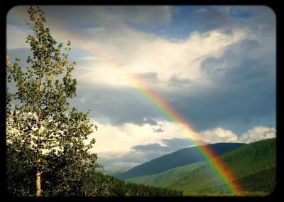 Scenic view of rainbow over landscape