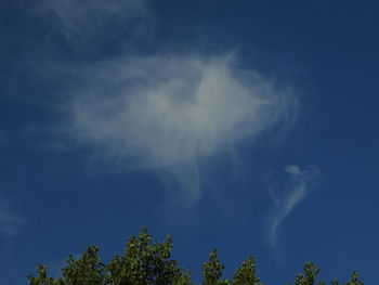 Low angle view of trees against cloudy sky