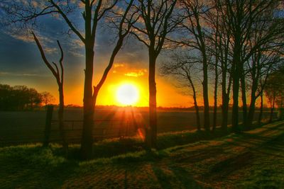 Sun shining through trees on landscape