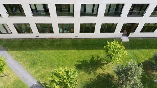 Plants growing by building