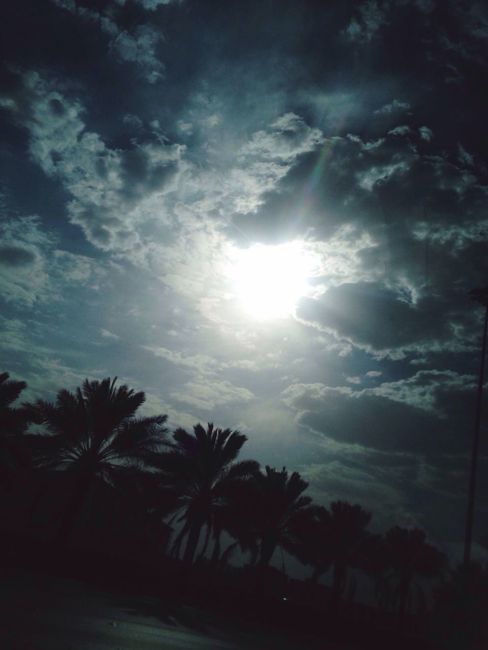 tree, palm tree, sun, silhouette, sky, beauty in nature, nature, scenics, no people, tranquil scene, tranquility, sunlight, cloud - sky, outdoors, low angle view, day, sunset