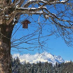 Low angle view of bare tree against clear blue sky