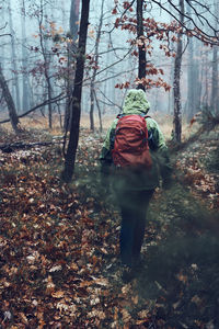 Woman with backpack wandering in a forest on autumn cold day. back view of middle age active woman