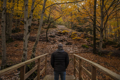 Portrait of adult man standing on wooden bridge in beech forest , tejera negra, guadalajara, spain