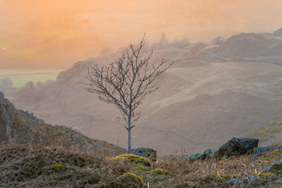 Scenic view of landscape against sky during sunset