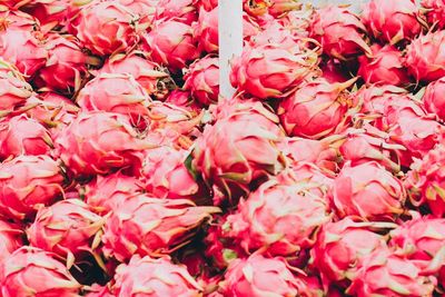 Full frame shot of pink flowers