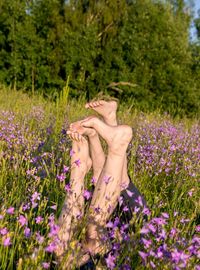 Close-up of purple flowering plants on field