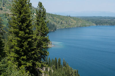 Scenic view of lake by trees against sky