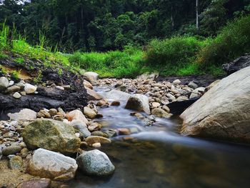 Stream flowing through rocks in forest