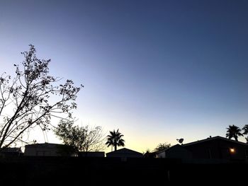 Low angle view of silhouette trees and buildings against sky