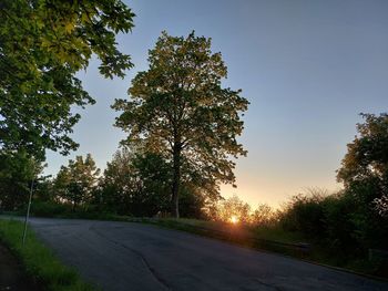 Road by trees against sky during sunset