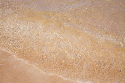 Full frame shot of sea shore