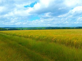 Scenic view of agricultural field against sky