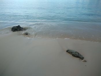 High angle view of crab on beach