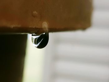 Close-up of water drop