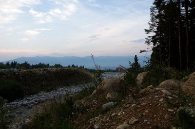 Dirt road passing through landscape