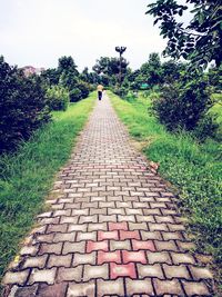 Man walking on grass